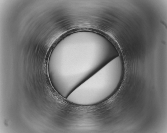 X0000102850879200808181045