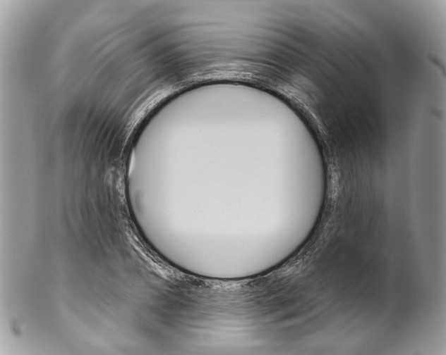 X0000102850882200808181044