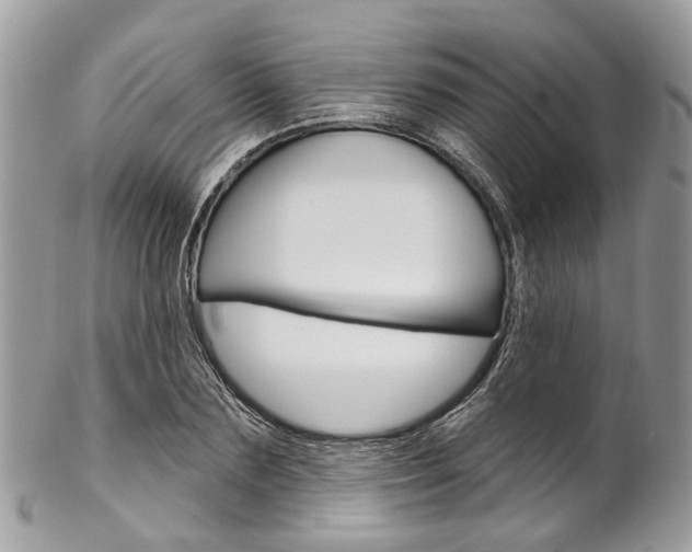X0000102850883200808181044