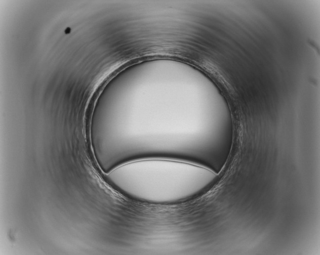 X0000102850884200808181044