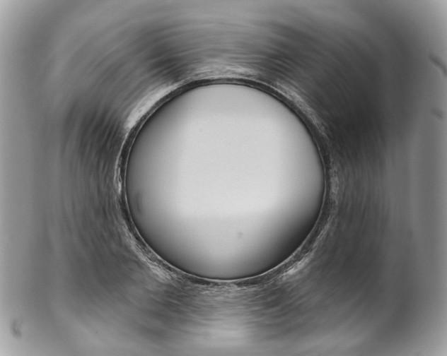 X0000102850885200808181044