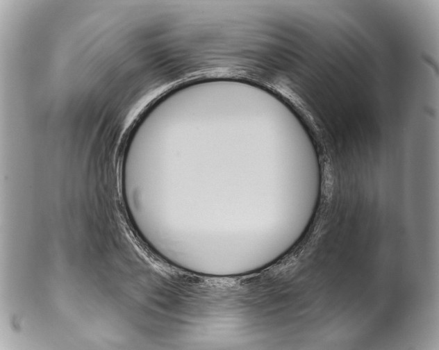 X0000102850886200808181044