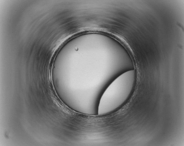 X0000102850887200808181044