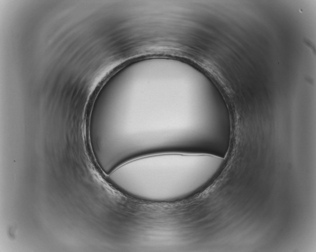 X0000102850888200808181044