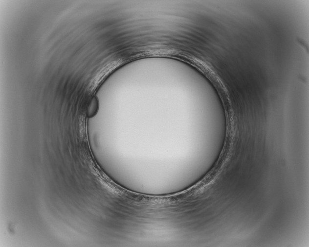 X0000102850889200808181044