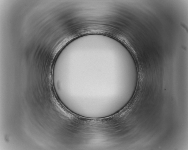 X0000102850890200808181044