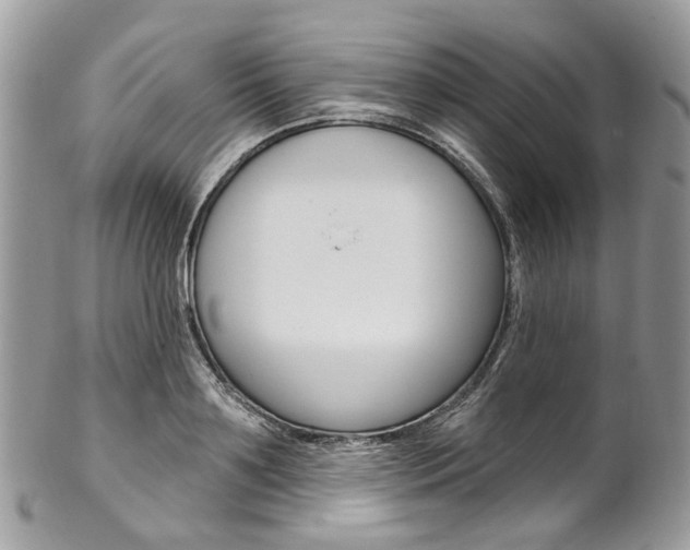 X0000102850891200808181044