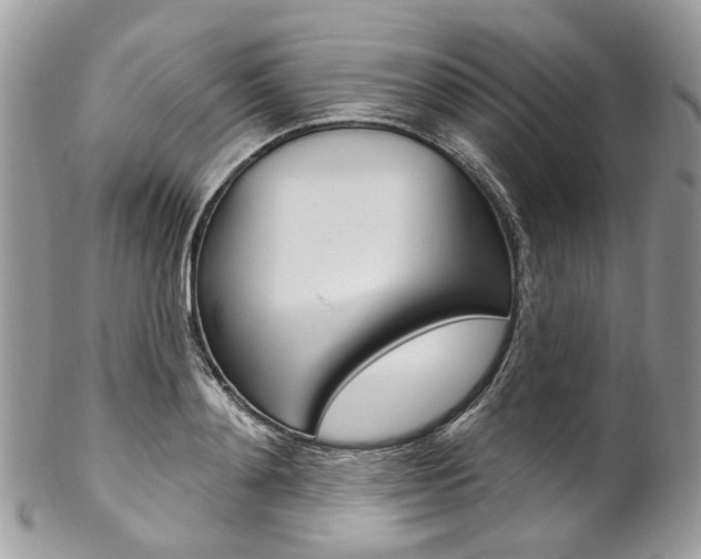 X0000102850892200808181044