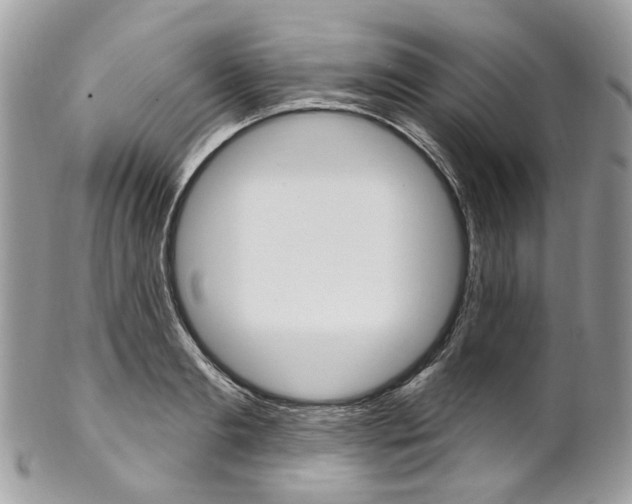 X0000102850893200808181044