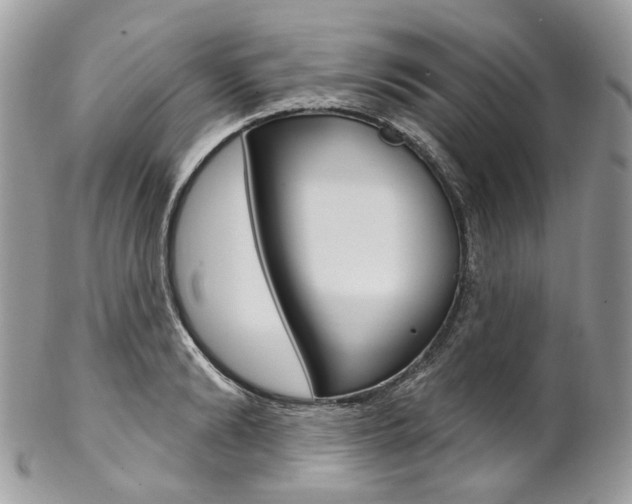 X0000102850894200808181044