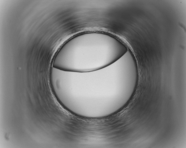 X0000102850895200808181044