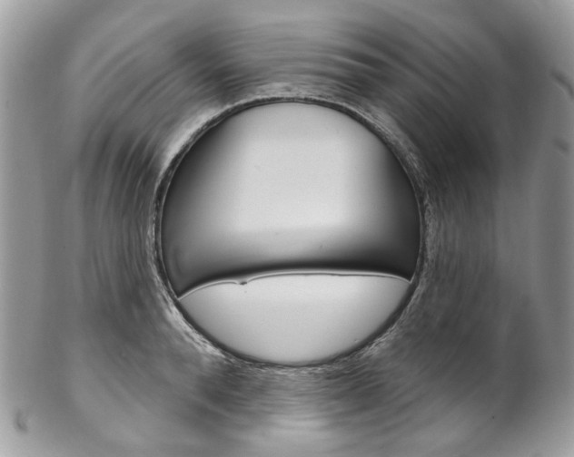 X0000102850896200808181044