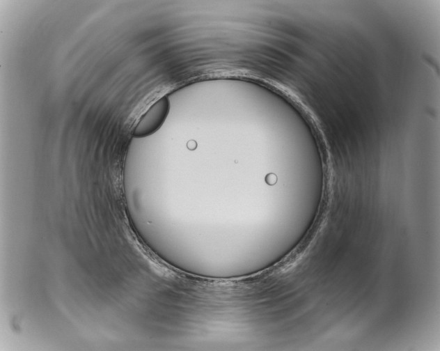 X0000102850897200808181044