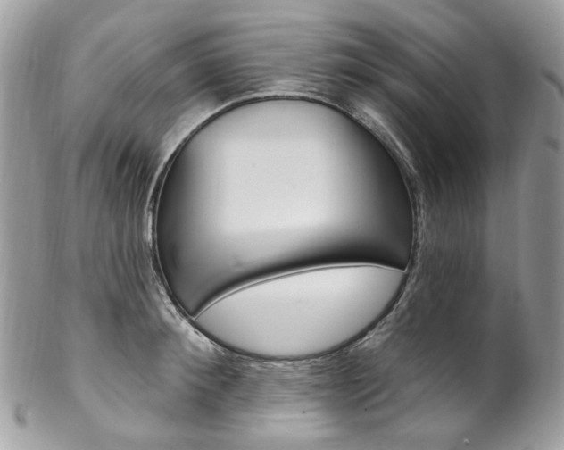 X0000102850900200808181044
