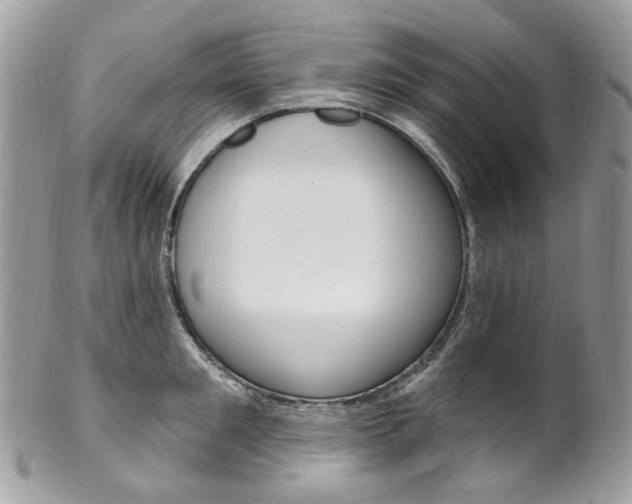 X0000102850901200808181044
