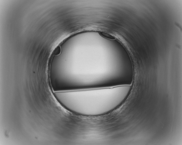 X0000102850902200808181044