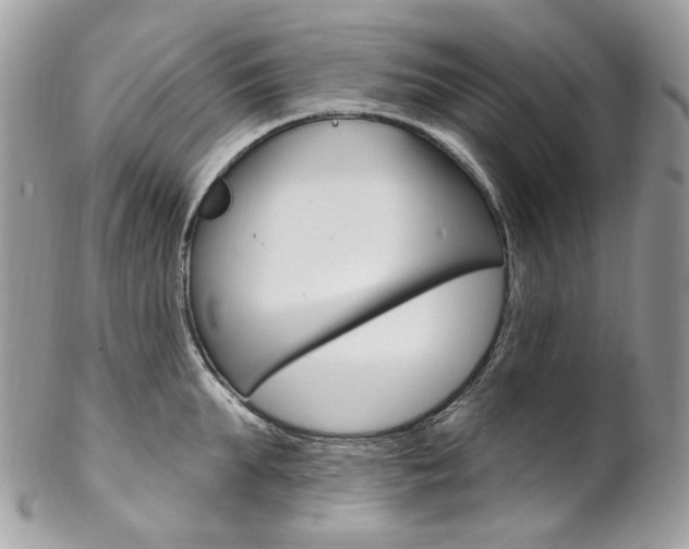 X0000102850903200808181044