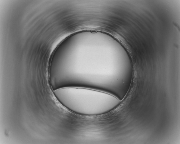 X0000102850904200808181044