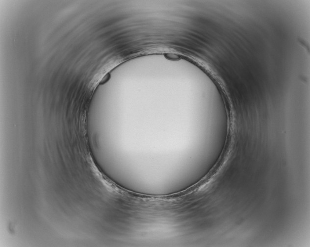 X0000102850905200808181044