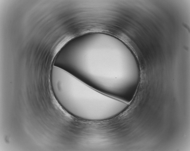 X0000102850906200808181044