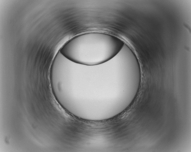X0000102850907200808181044