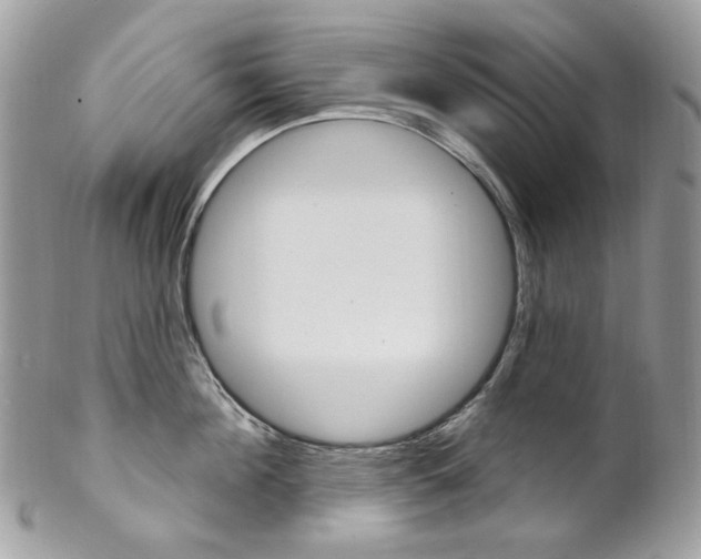 X0000102850908200808181044