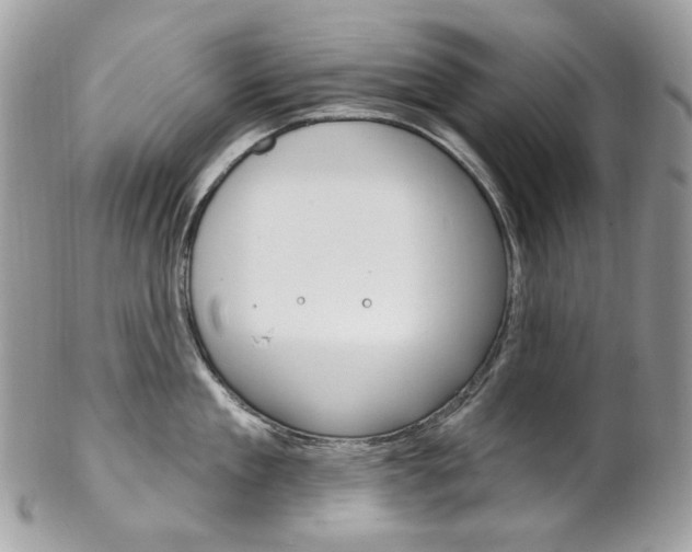 X0000102850909200808181044