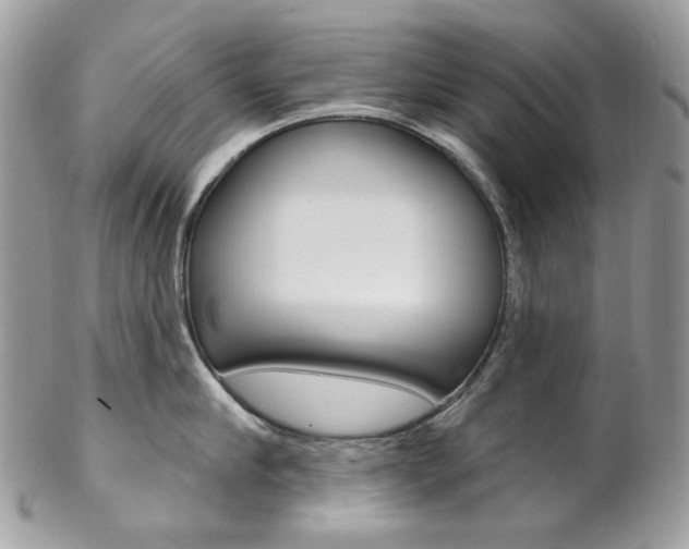 X0000102850910200808181044