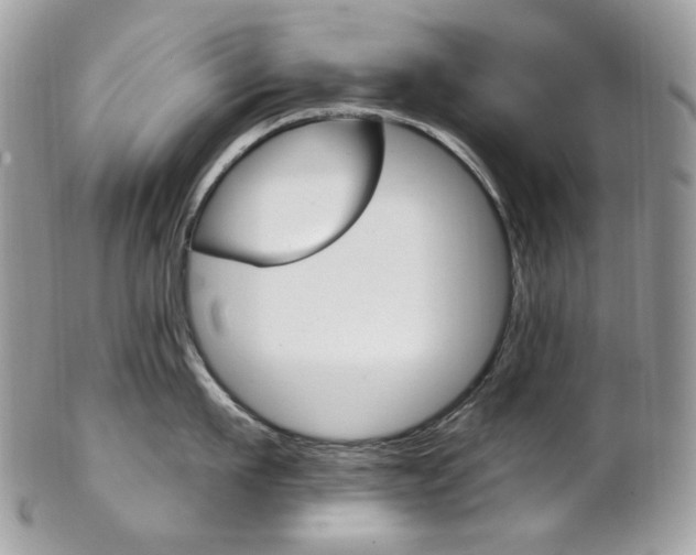 X0000102850911200808181044