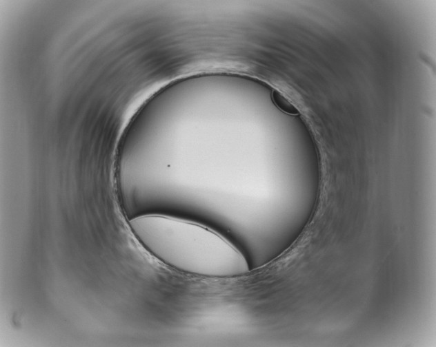 X0000102850912200808181044