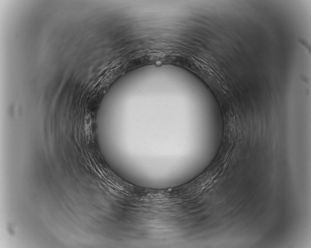 X0000102850914200808181043