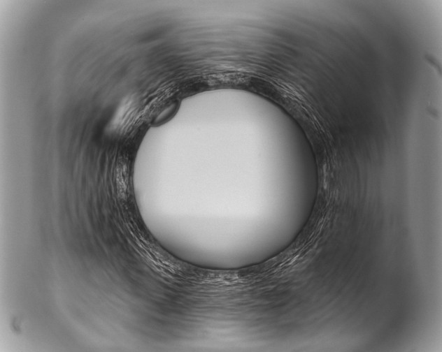 X0000102850915200808181043