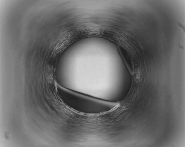 X0000102850916200808181043