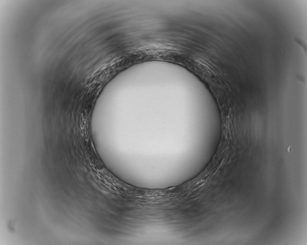 X0000102850917200808181043