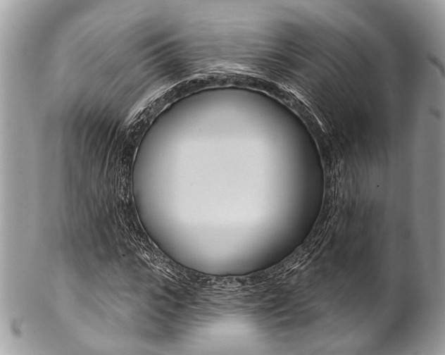 X0000102850919200808181043