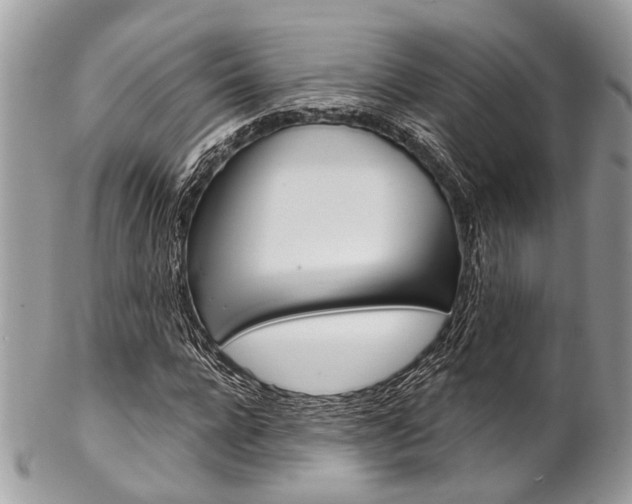 X0000102850920200808181044