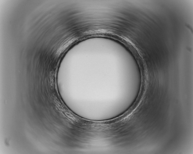 X0000102850921200808181044
