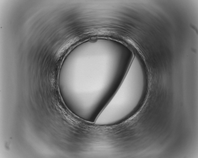 X0000102850922200808181044