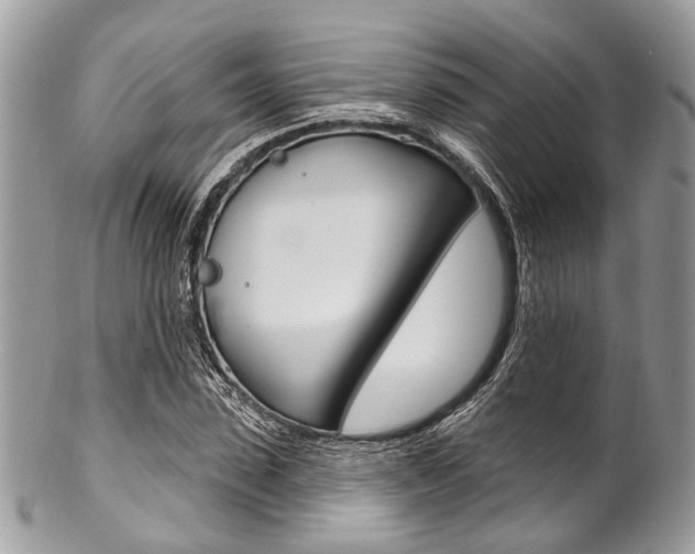 X0000102850923200808181044