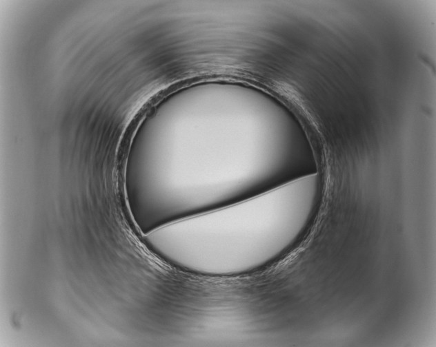 X0000102850924200808181044