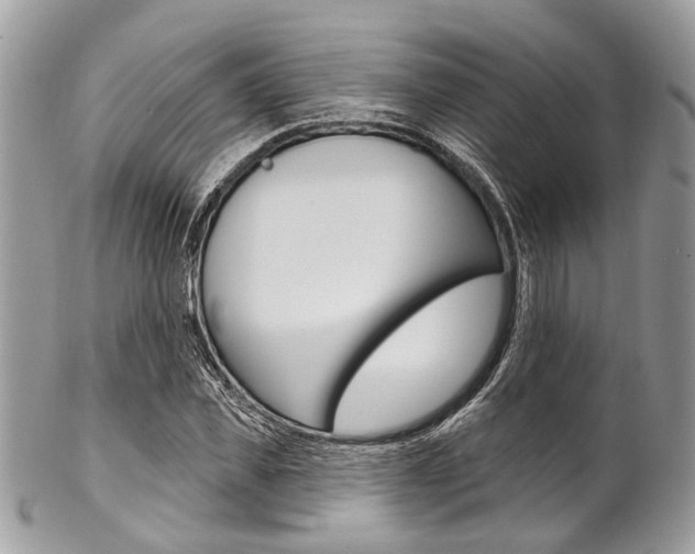 X0000102850925200808181044