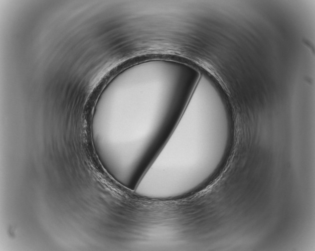 X0000102850926200808181044