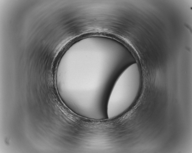 X0000102850927200808181044
