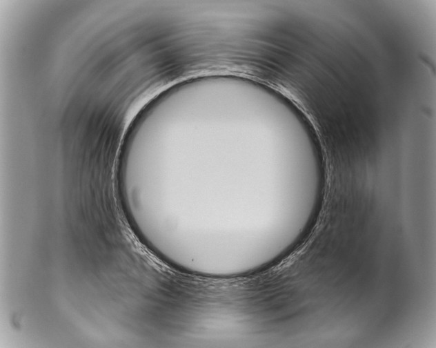 X0000102850928200808181044