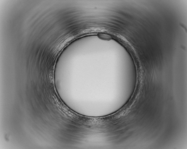 X0000102850929200808181044