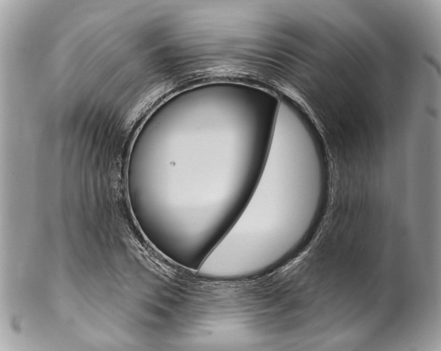 X0000102850930200808181044