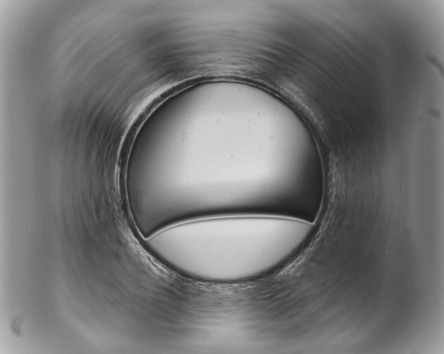 X0000102850932200808181044