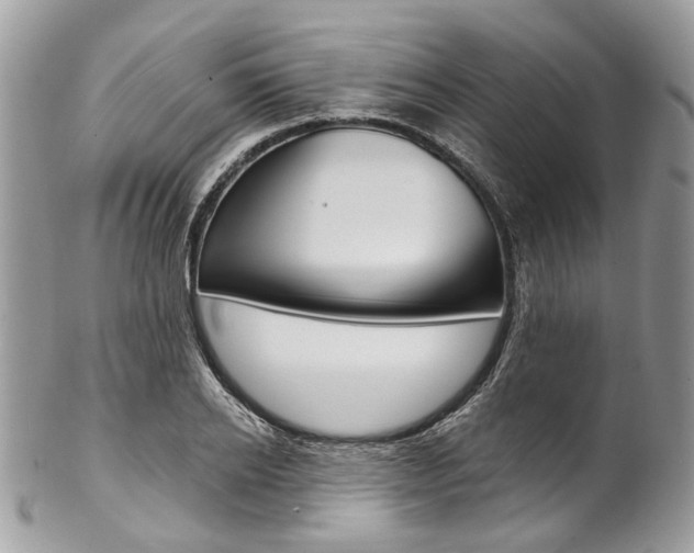 X0000102850934200808181044