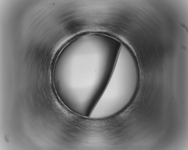 X0000102850935200808181044