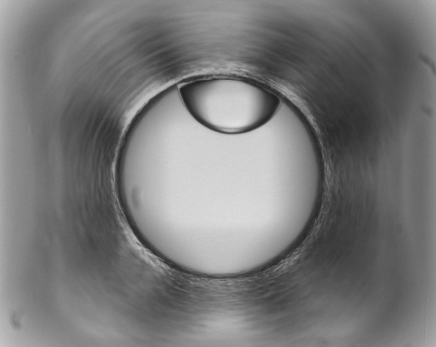 X0000102850936200808181044